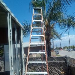 2 Ladders One Is 12 Feet Werner Ladder And The Other One Is 6 Feet