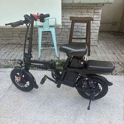 Insdrgn electric bike check description