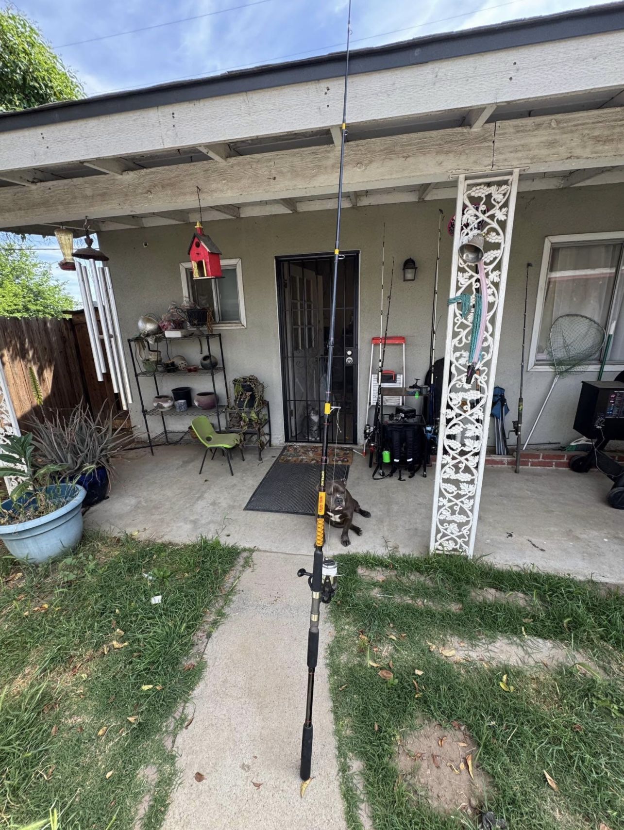 Fishing Pole Ugly Stick