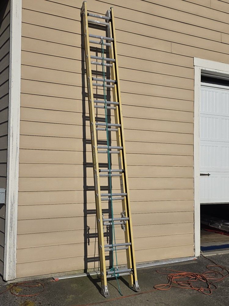 Ladder 24''