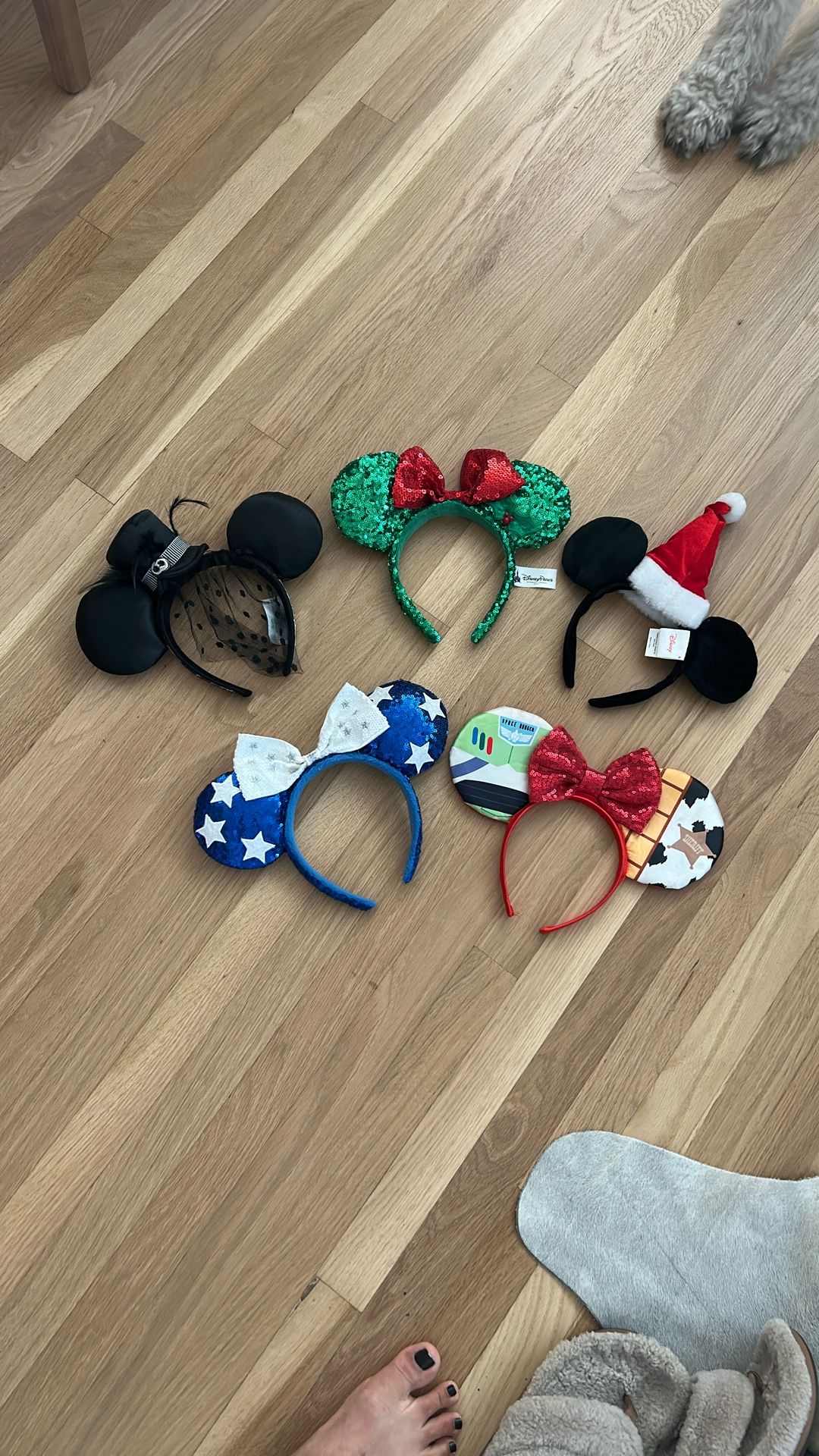 Disney Mickey And Minnie Ears