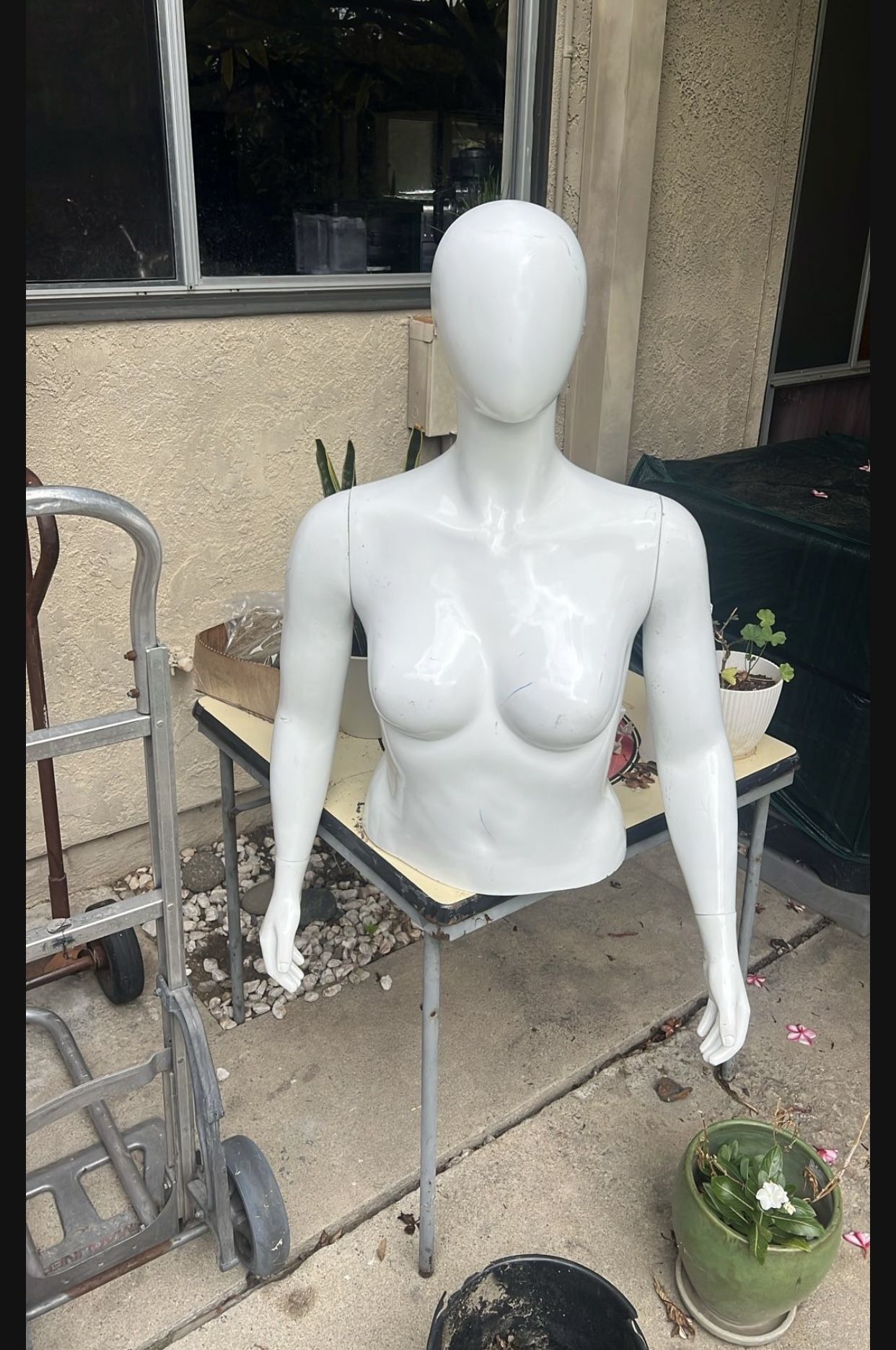 Half Mannequin With Arms, Very High-Quality from the Garment District