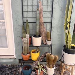 Plant stand 