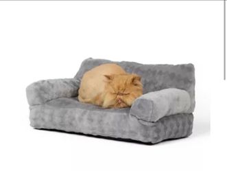 Whisker City I Need My Beauty Sleep Gray Cat Couch, Polyester, Washable 21x12