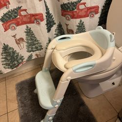 Potty Training Seat With a Step Stool ladder 