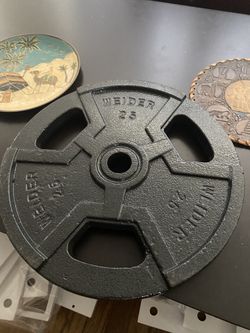 25lbs Plate