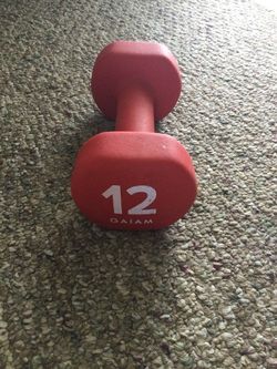 12lbs Dumbbell