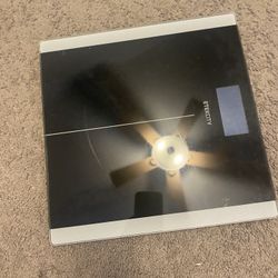 Fitness Scale