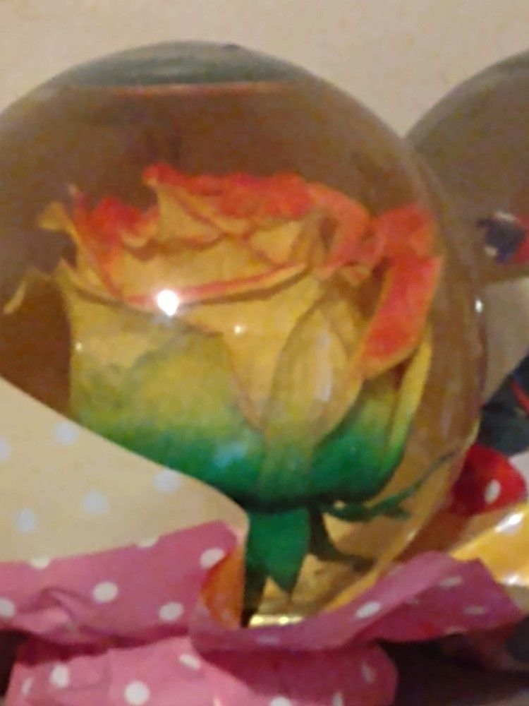 Rose Globes