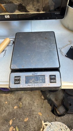 Scale