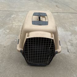 Pet Taxi