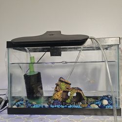 Arqueon 2gal Aquarium Tank 