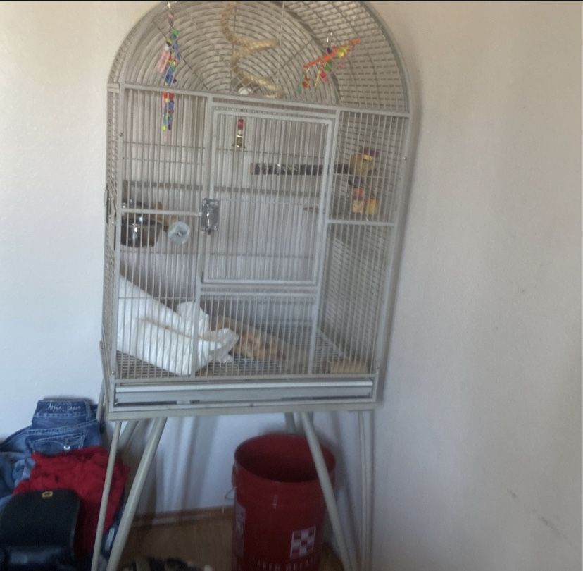 Wired Bird Cage