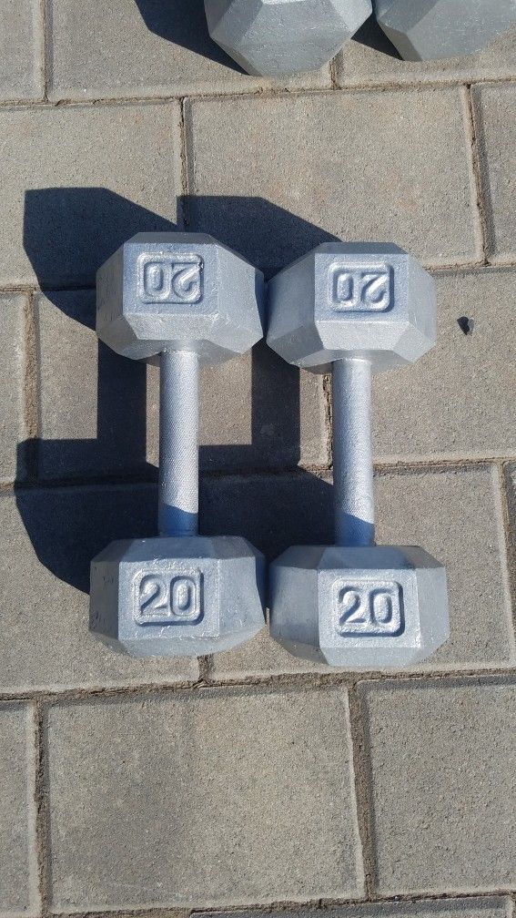 20LB Dumbbell Set