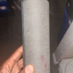 Speaker 