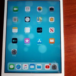 Ipad Mini2 32 GB