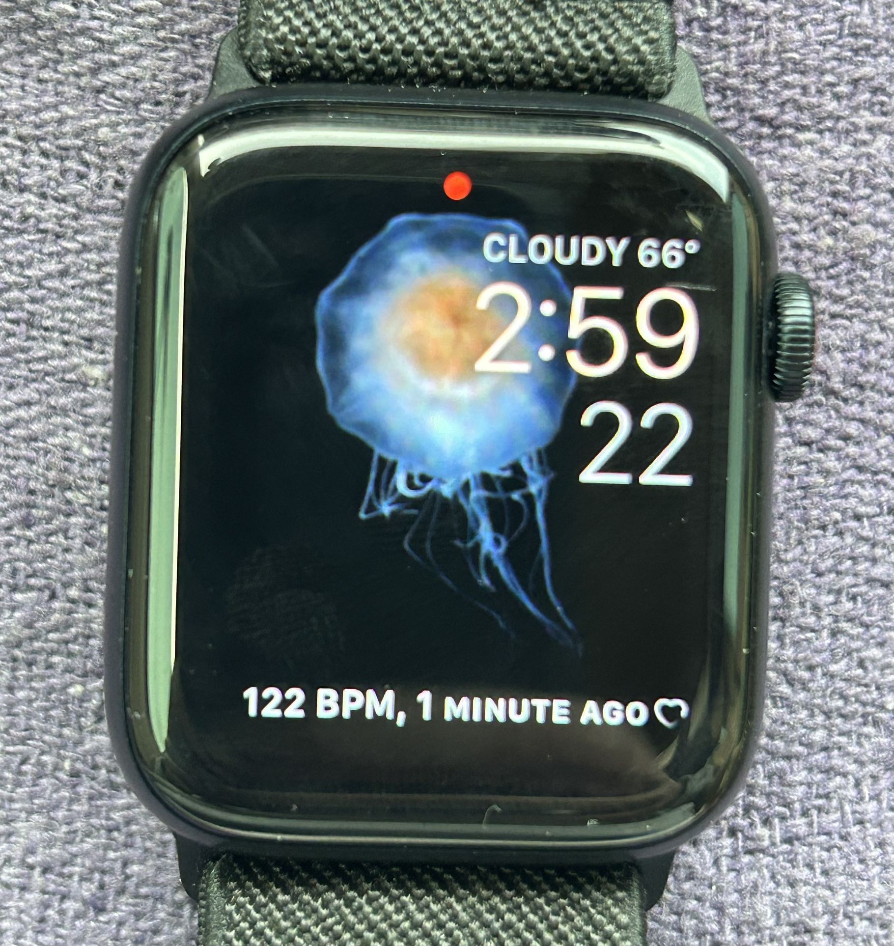 iWatch SE 2nd Generation 44mm (2024)