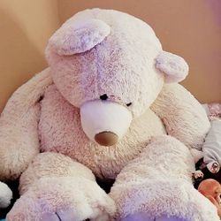 Big teddy bear for february 14 Thumbnail