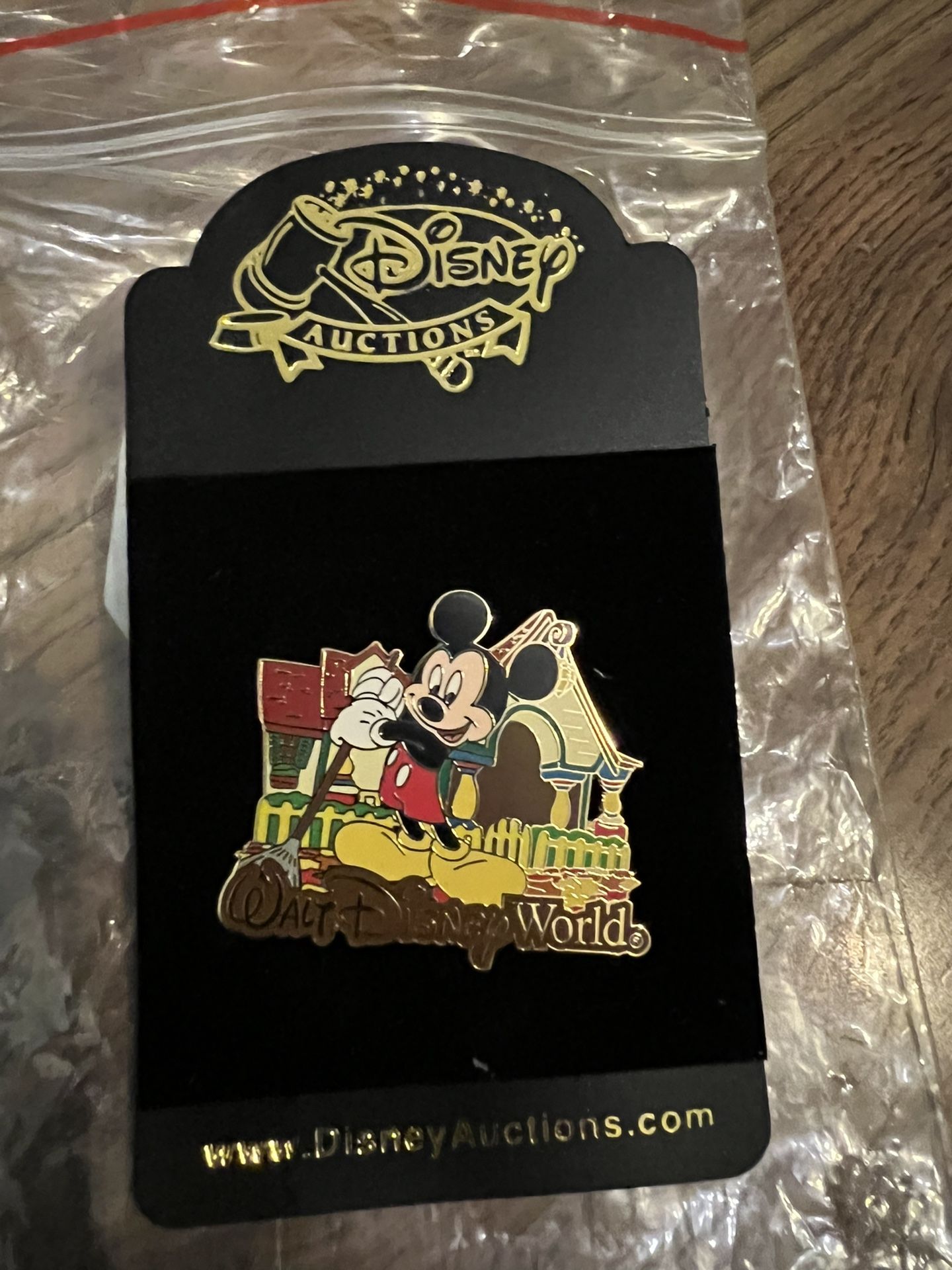 Disney World Pin