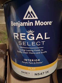 Interior White Flat Paint 11 for 120