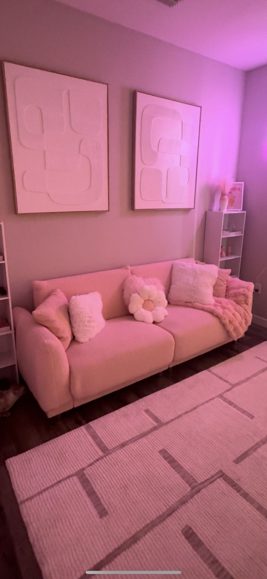 PINK COUCH