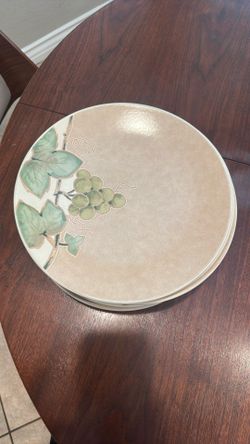 Mikasa Chablis Dinner Plates