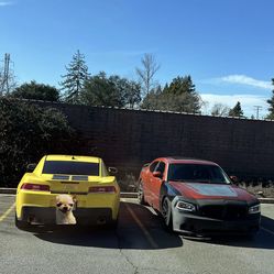 2006-10 dodge charger passenger fender