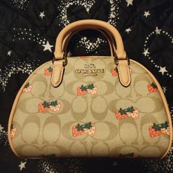 Coach Bag 