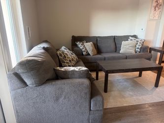 Two Gray Couches