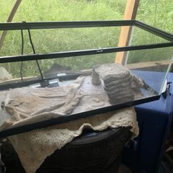 Fish Tank Or Animal Tank Just Needs To Be Clean 