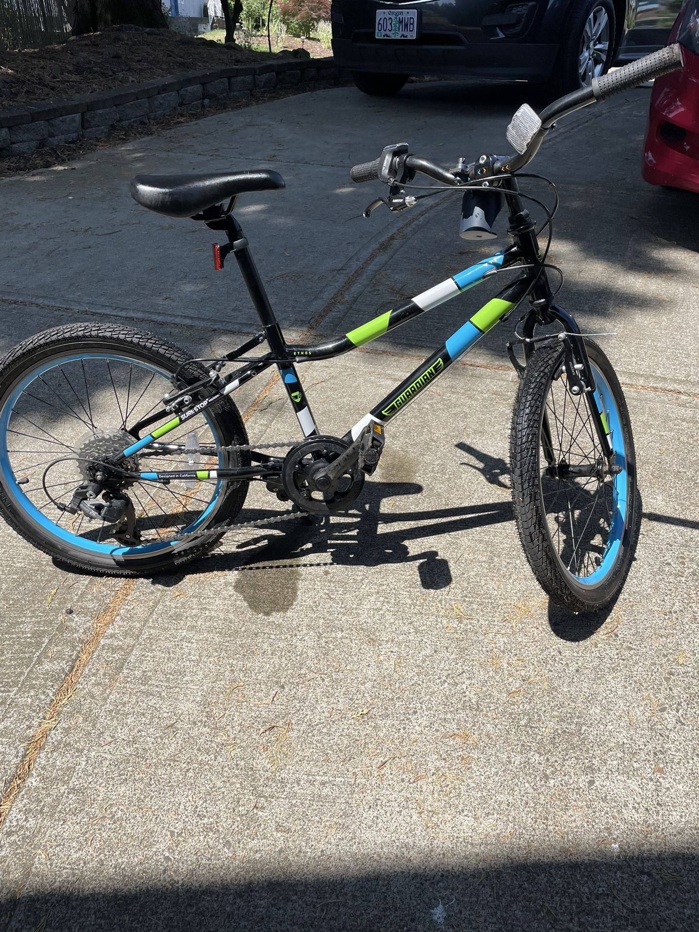 Guardian 20 Inch Large Kids Bike