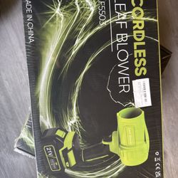 Cordless Leaf Blower 