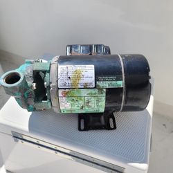 scott AC raw water pump . 120/ 240v 