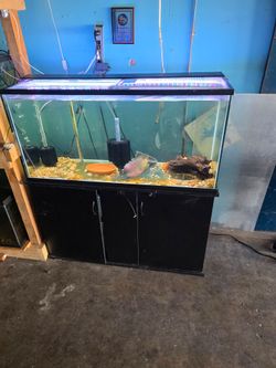 Fish Tank Supplies