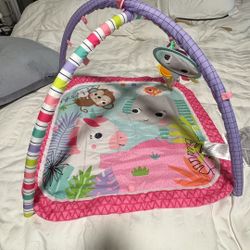 Baby Playmat