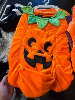 Halloween Dog Costumes