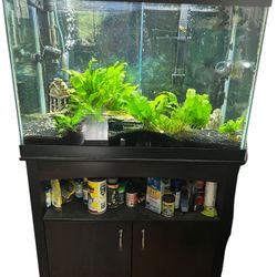 Full 65 Gallon Fish Aquarium Set Up with SunSun & Penguin Filter Systems 