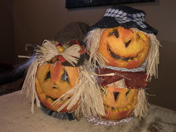 Fiber Optic Pumpkin Halloween Decoration For Sale In Algonquin Il