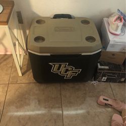 UCF Coleman cooler Knights