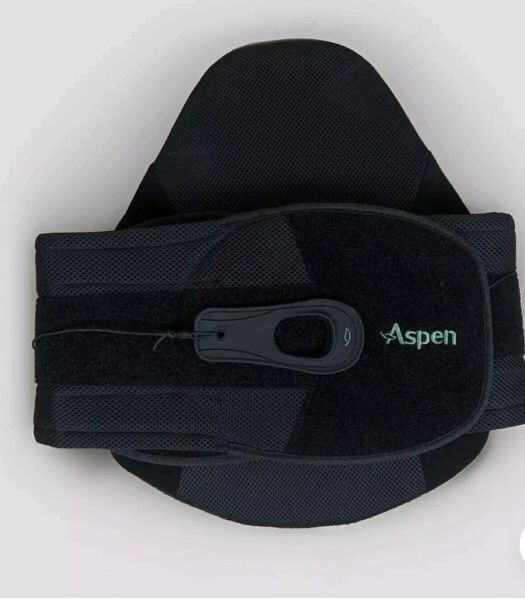 Aspen Horizon 631 LSO Adjustable Back Brace, One Size