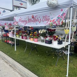 Mother’s Day Flowers 💐 In RIVERSIDE
