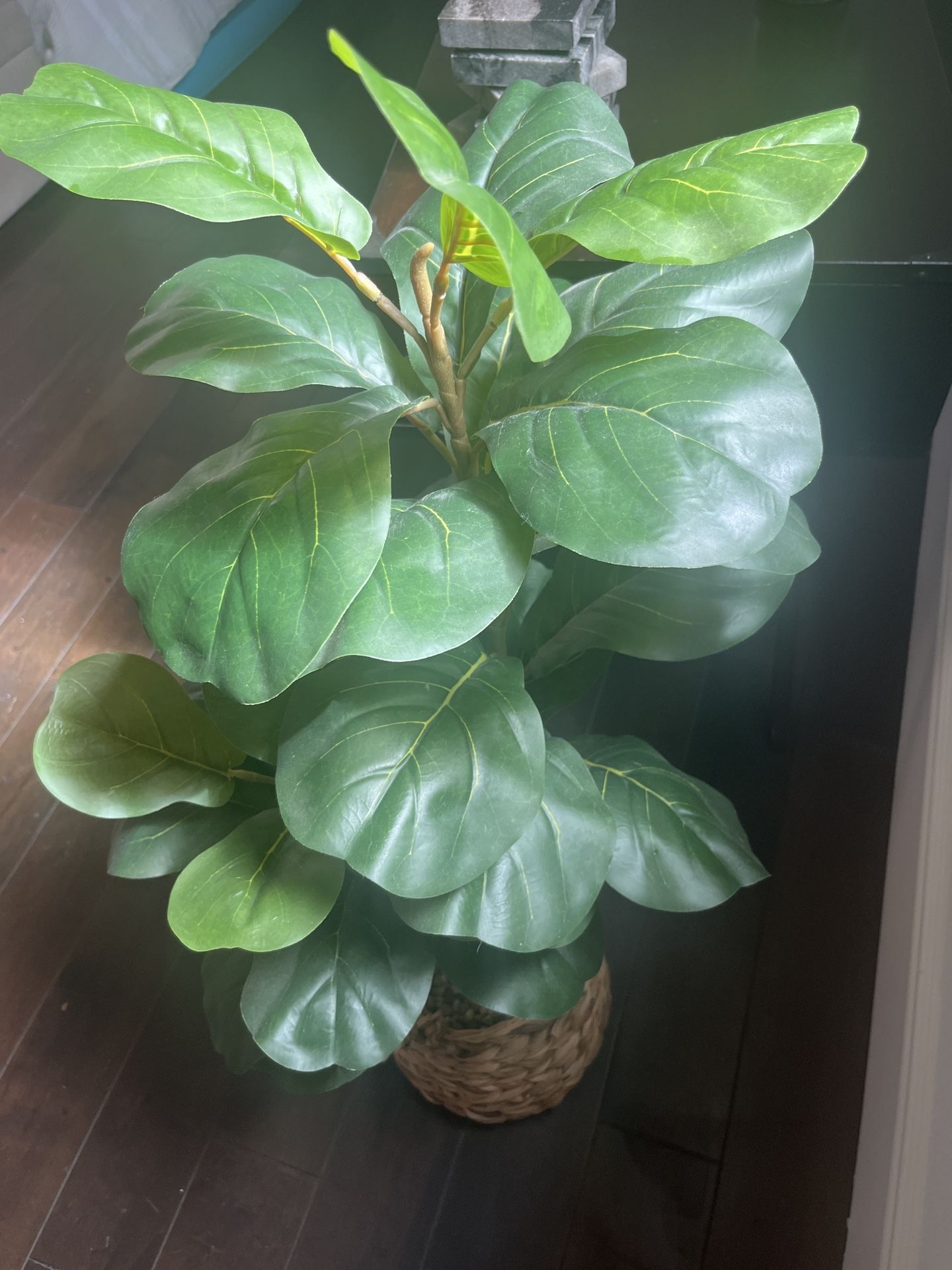 Artificial Fiddle leaf Fig tree