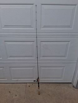 Fishing Pole and reel