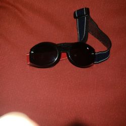 Hilfiger Riding Goggles