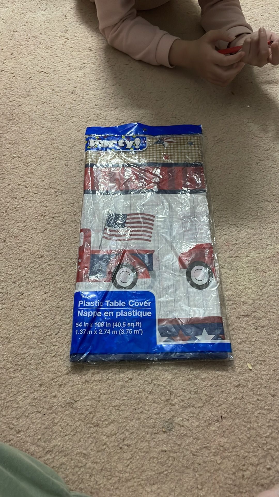 Party Plastic Table Cover (54*108)