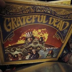Grateful Dead Album
