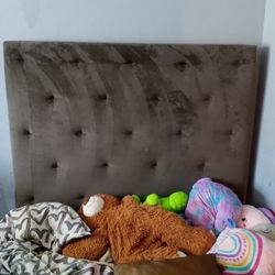 Everything $20+ Pick Up Today!