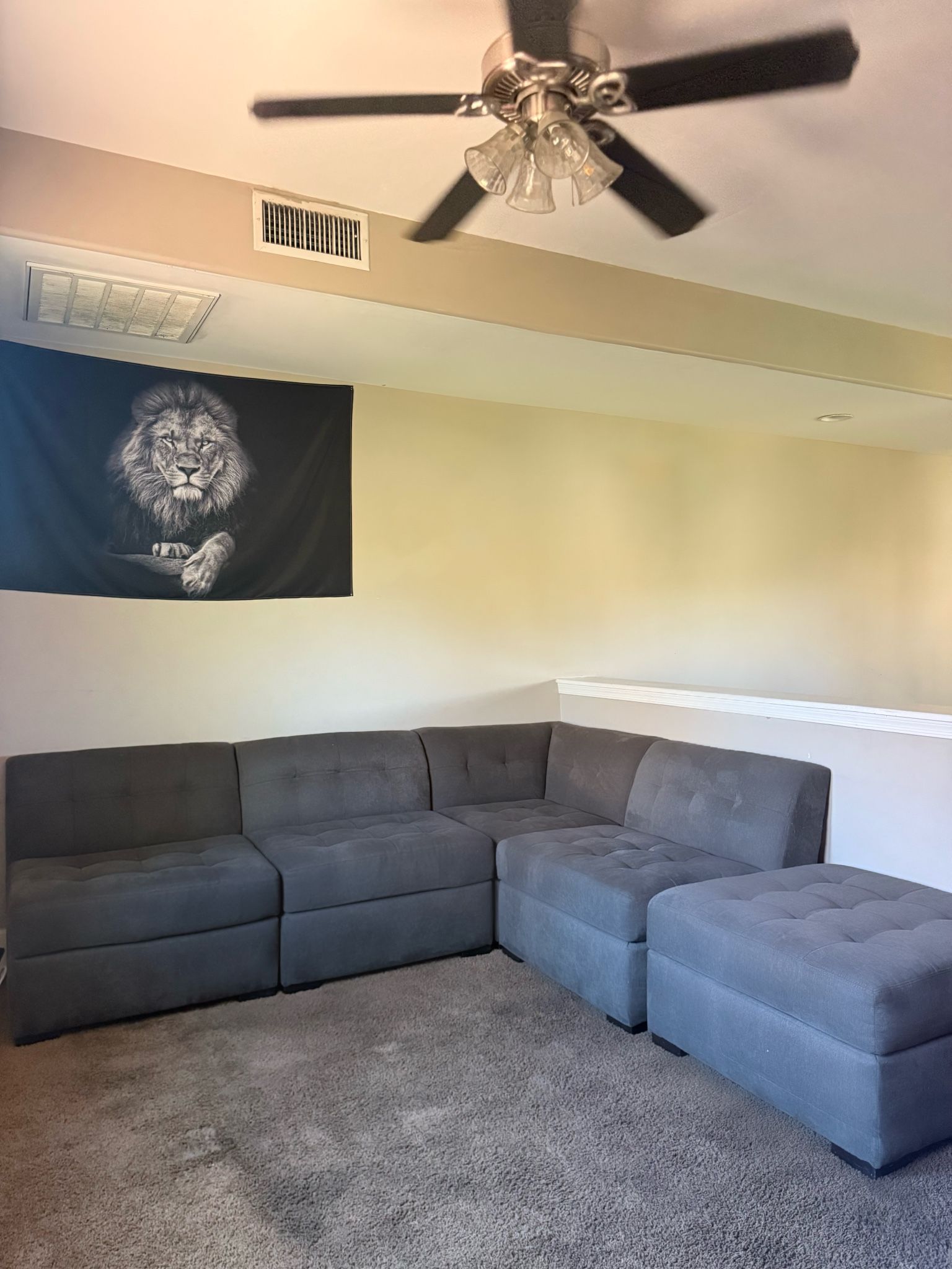 new couch