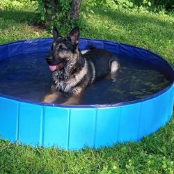 NEW Dog Pool Kiddie Pool