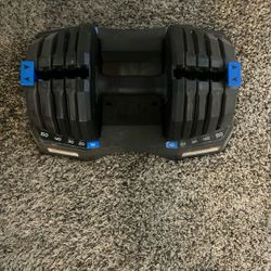 50lb Adjustable Dumbbell 
